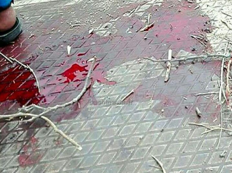 جدید ترین تصاویر از حمله تروریستی در مصر 11