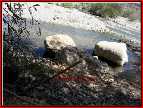 چشمه انجیری باشت در قاب تصویر باشت نیوز 16