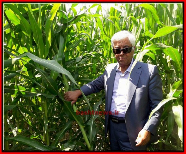 بازدید معاون وزیر جهاد کشاورزی از طرح ها و زمین های کشاورزی شهرستان باشت+تصاویر 30