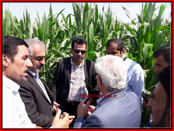بازدید معاون وزیر جهاد کشاورزی از طرح ها و زمین های کشاورزی شهرستان باشت+تصاویر 21